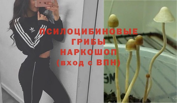 стафф Балахна